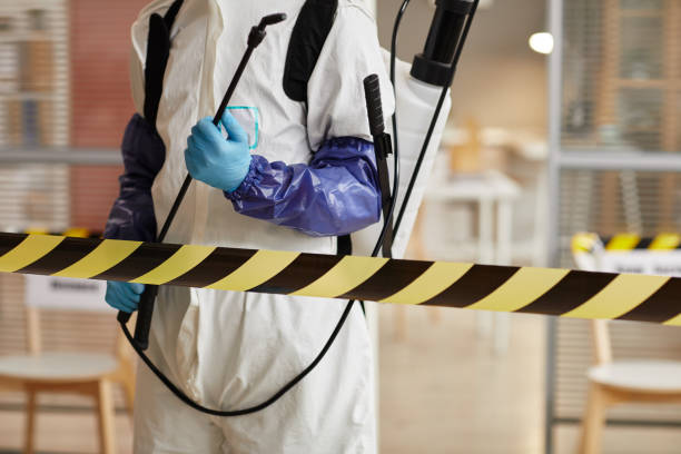 Professional Sewage Cleanup technician working in Alliance, NC